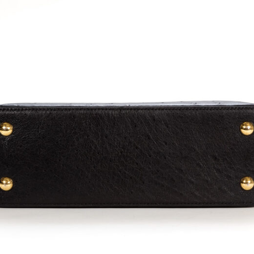 Louis Vuitton Amethyste Ostrich Capucines Mini Bag – The Closet